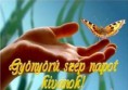 /album/fenykepgaleria/image-60-jpg/